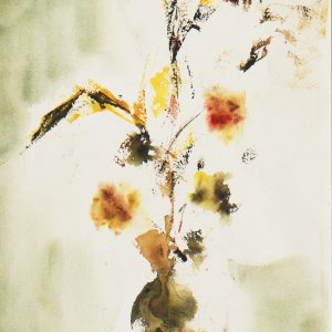 Asian Flowers in Bloom